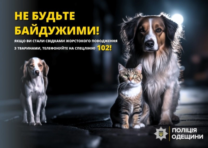 На Одещині чоловік вистрелив собаці в око: тварина загинула