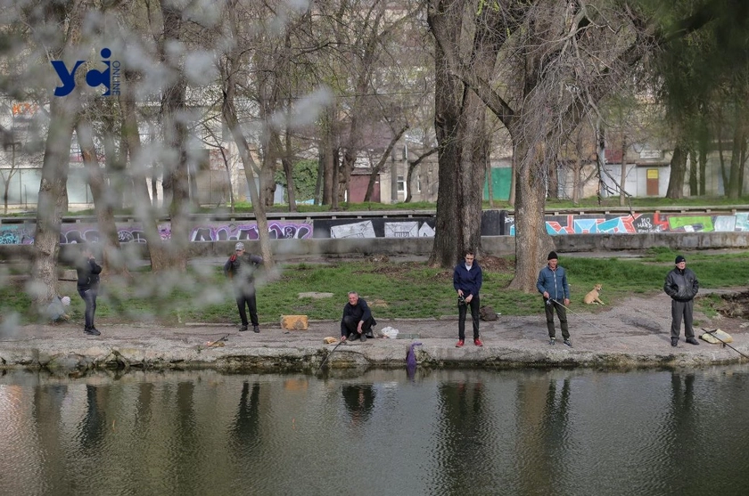Занедбані землі Дюковського парку можуть повернути місту: суд зобов’язав орендаря сплатити борги