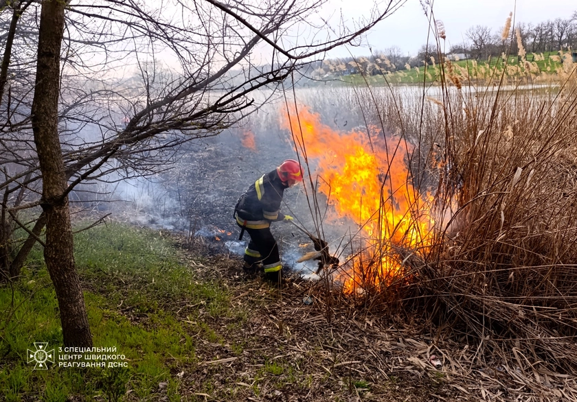 На Одещині рятувальники оперативно загасили пожежу очерету поблизу парку (фото)
