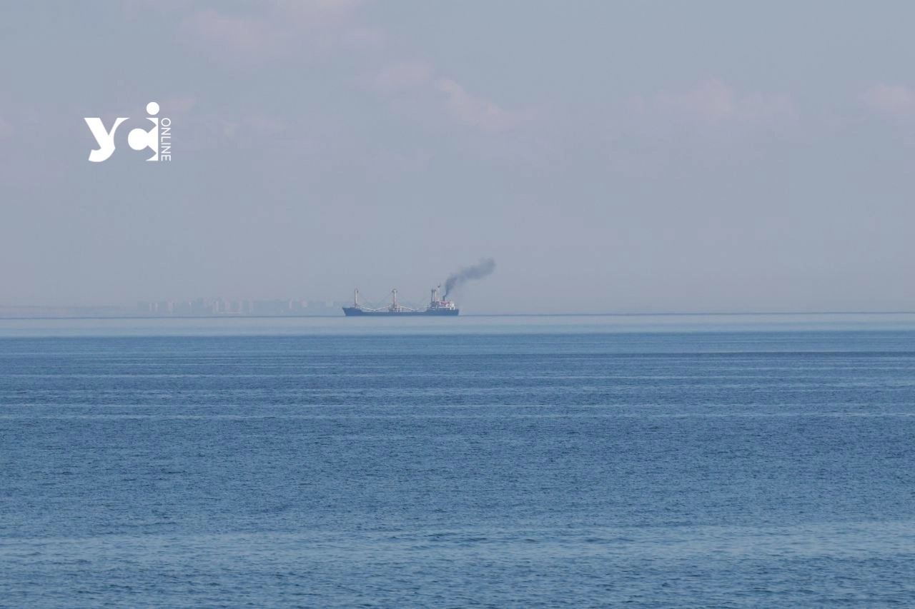 Весна в Одесі: штиль і перші квіти