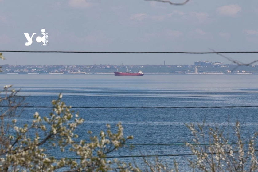 Весна біля моря: повний штиль і весняне цвітіння