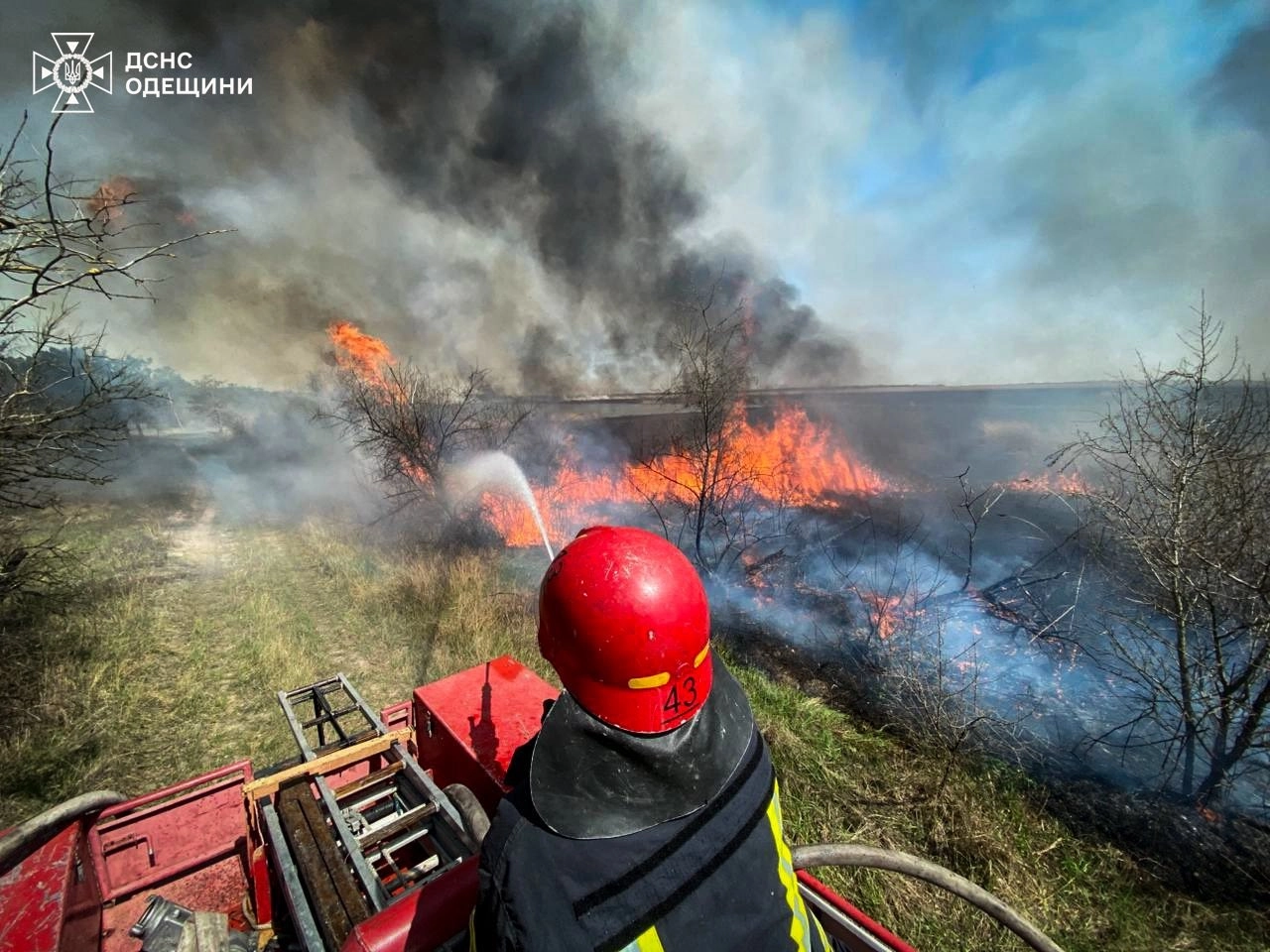Весняні пожежі на Одещині вже завдали збитків на 124 млн гривень