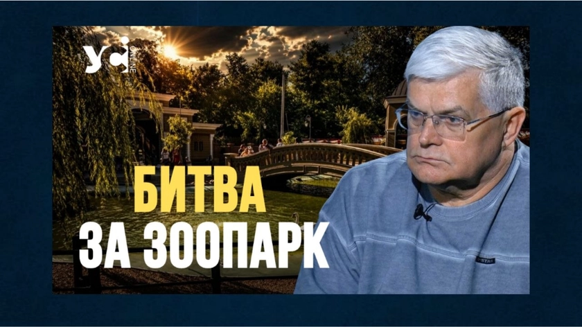 Звільнення директора Одеського зоопарку: ризики забудови, перенесення до парку Савицького та «передача тварин до Європи»