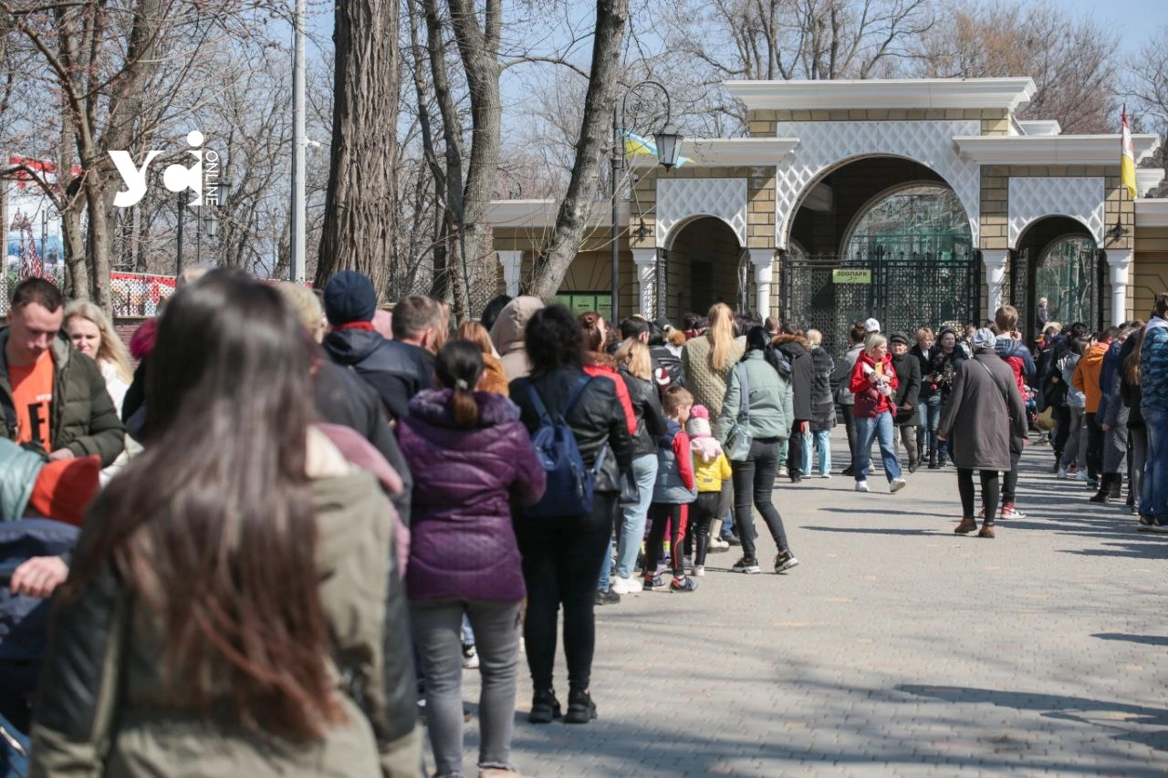 Одеський зоопарк залишиться на своєму місці: місто готує конкурс на посаду нового директора