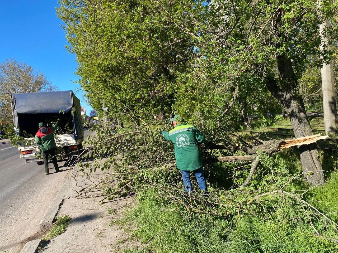 Одеса після урагану