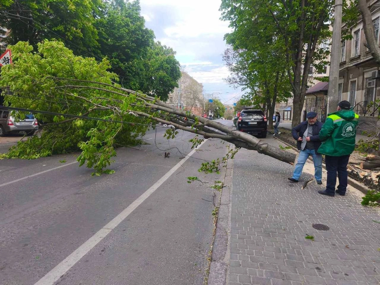 Одеса після урагану