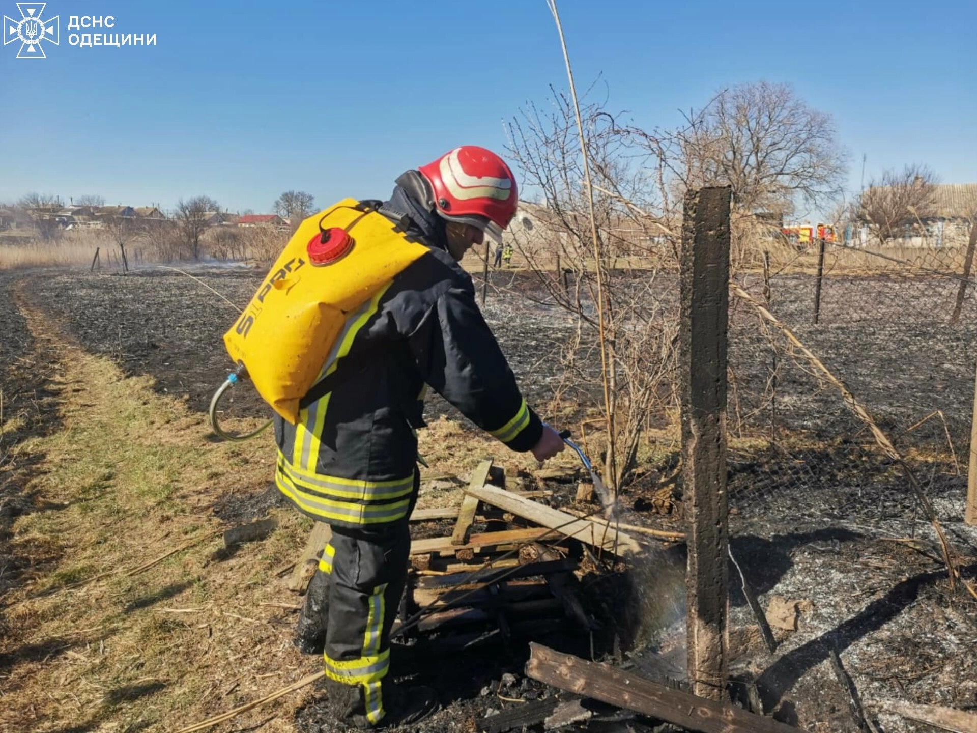 Пожежі на Одещині завдали довкіллю збитків на 146 млн грн