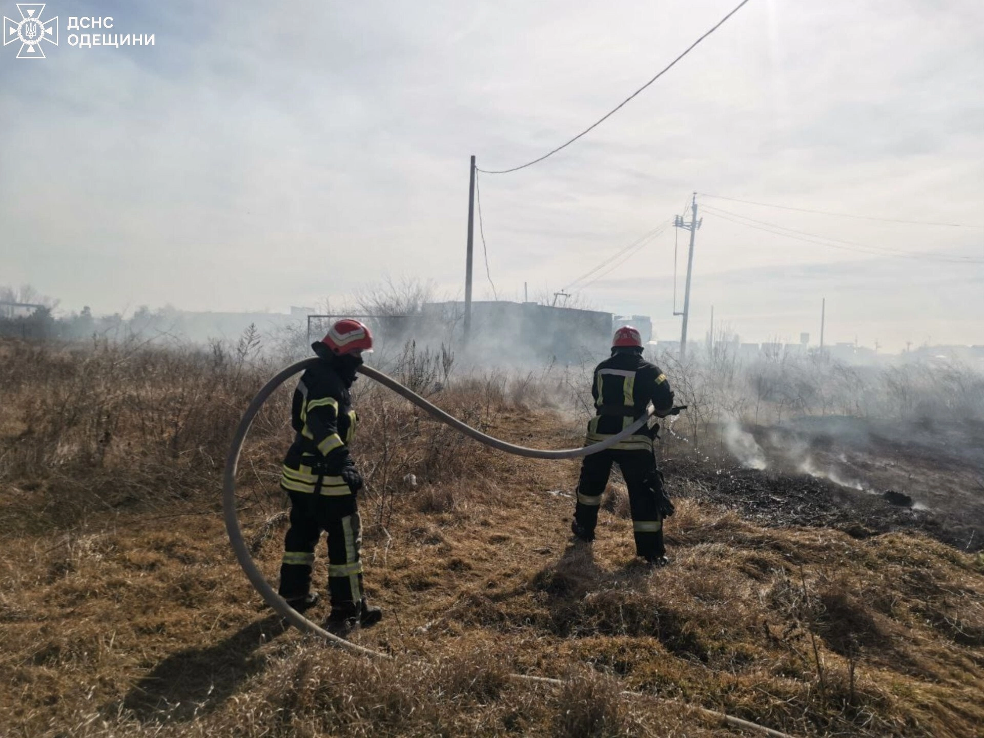 Пожежі на Одещині завдали довкіллю збитків на 146 млн грн