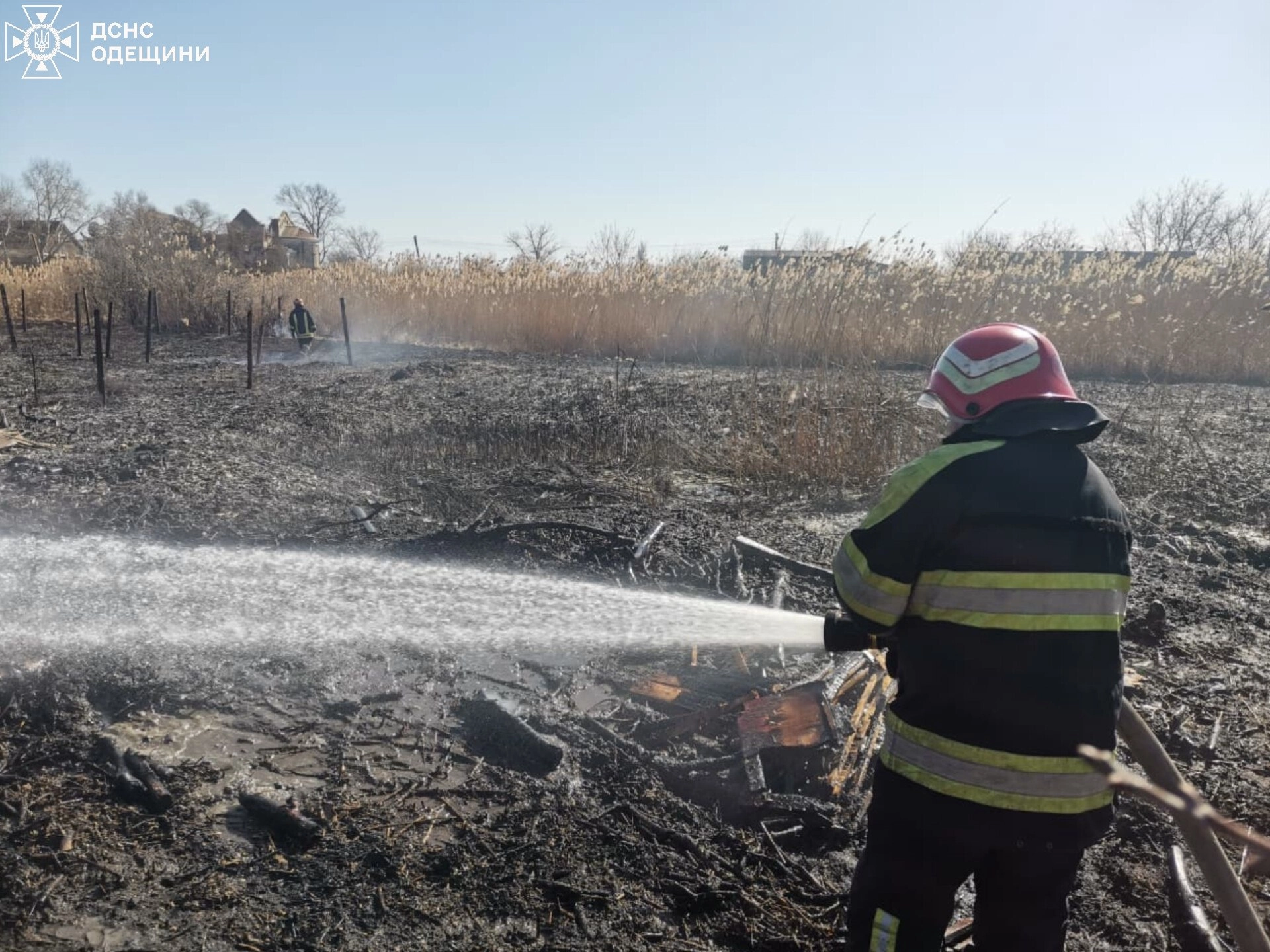 Пожежі на Одещині завдали довкіллю збитків на 146 млн грн