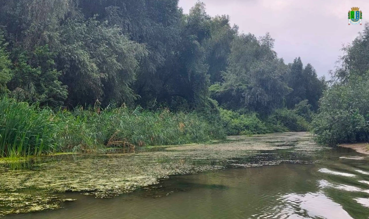 На Дунаї фіксують аномально низький рівень води: у деяких містах — історичний мінімум