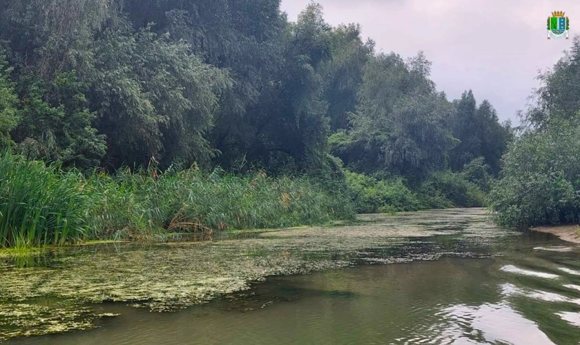 На Дунаї фіксують аномально низький рівень води: у деяких містах — історичний мінімум