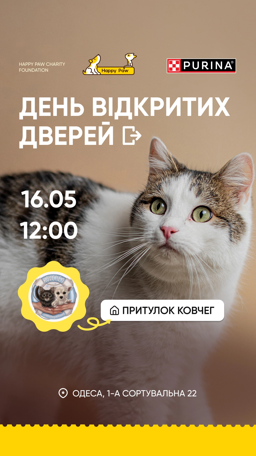 День відкритих дверей у притулку «Ковчег»