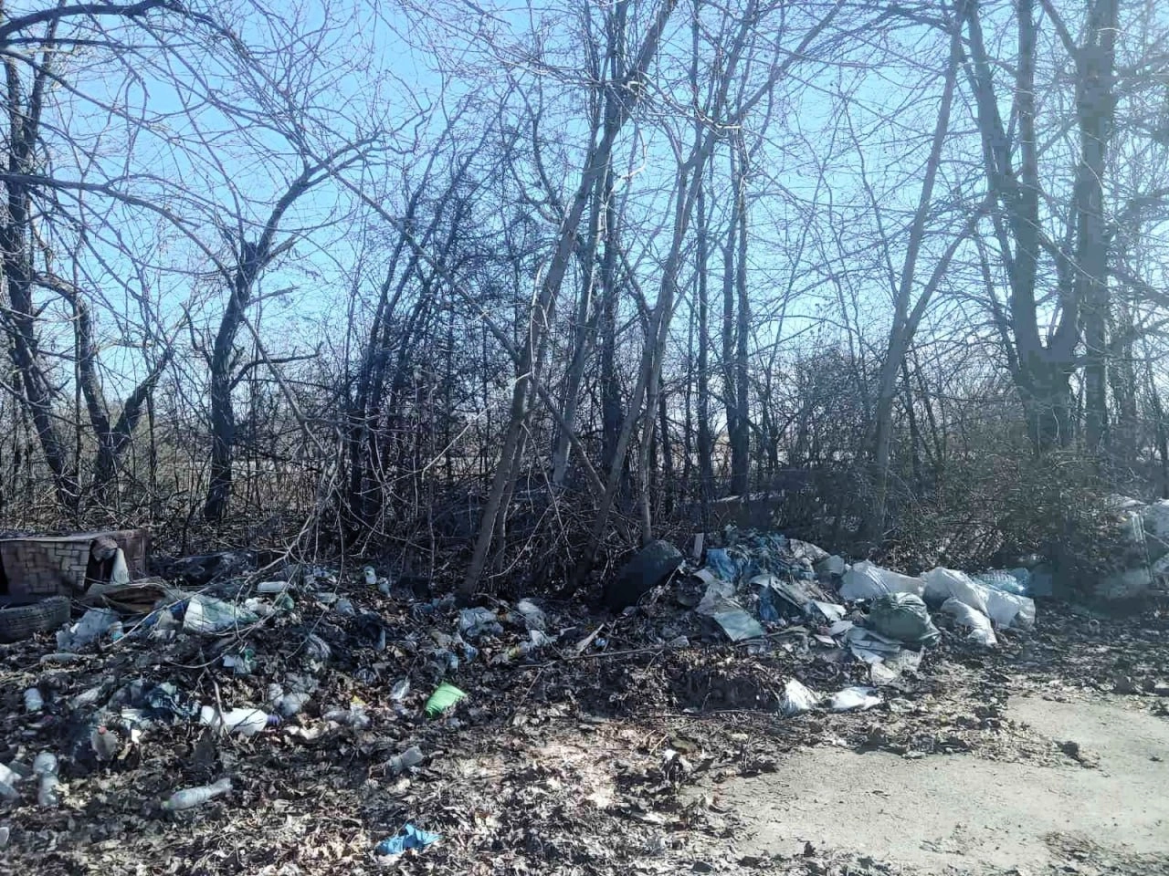 В Одесі прибрали великі стихійні сміттєзвалища