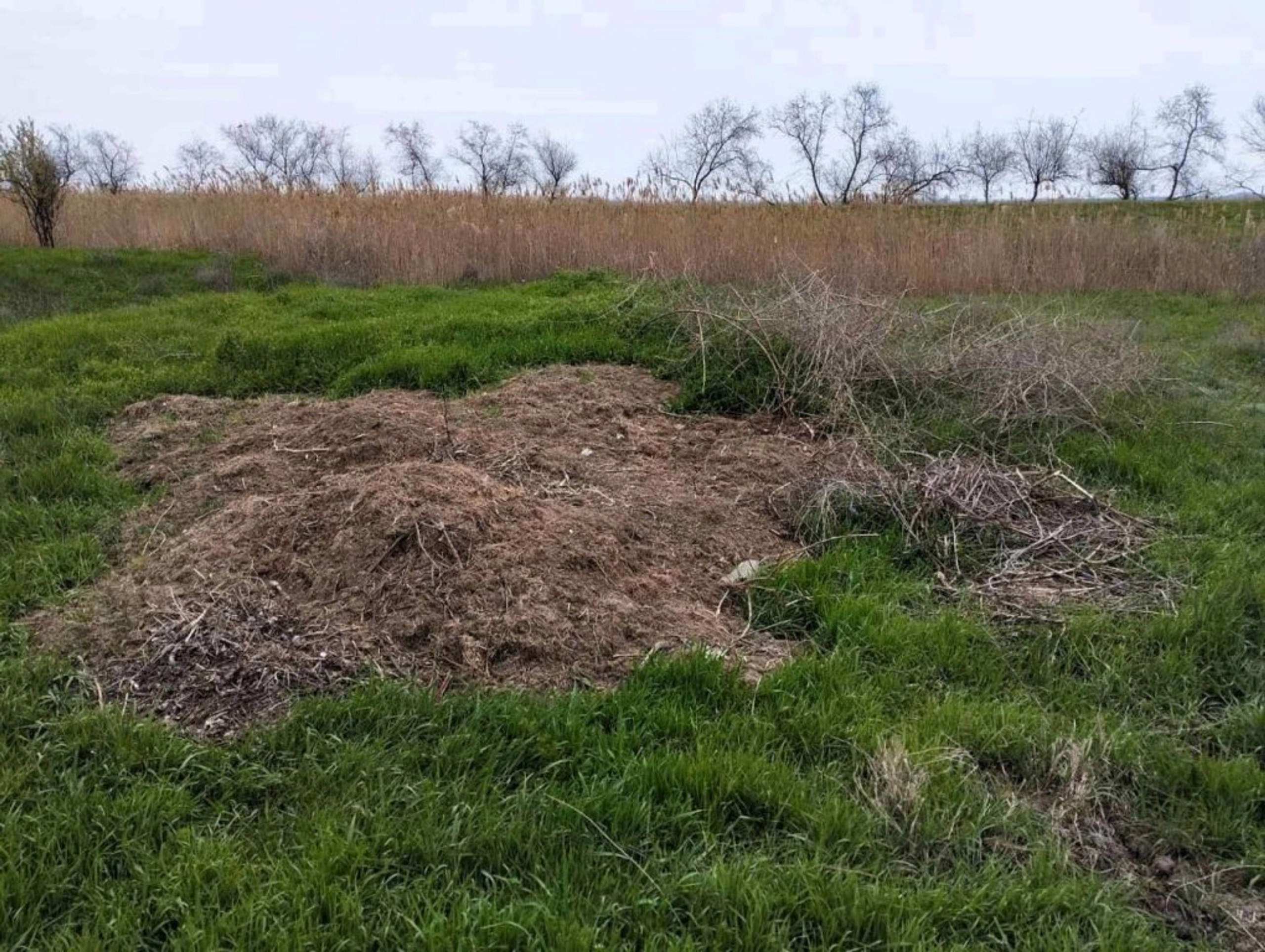 Біля лиману на Одещині знайшли сміттєзвалища