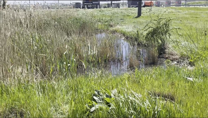 На Одещині зафіксували забруднення ґрунтів стічними водами: перевищення амонію та хлоридів