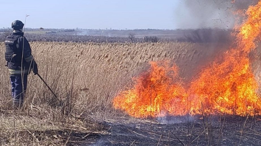На Одещині стрімко зростає кількість пожеж в екосистемах: мільйонні збитки та людський фактор