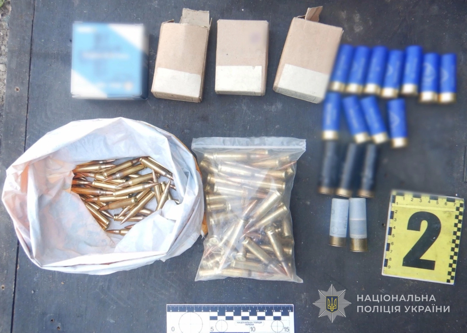 На Одещині вилучили майже 1200 набоїв і вибухівку в гаражі у місцевого мешканця
