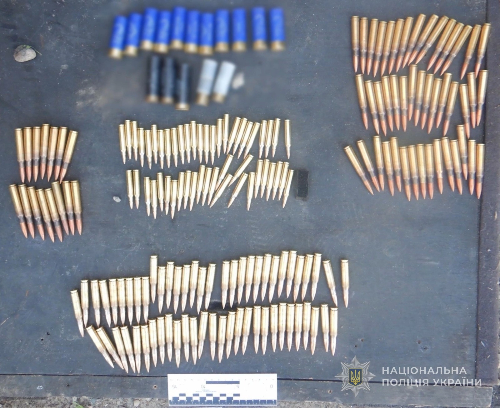На Одещині вилучили майже 1200 набоїв і вибухівку в гаражі у місцевого мешканця