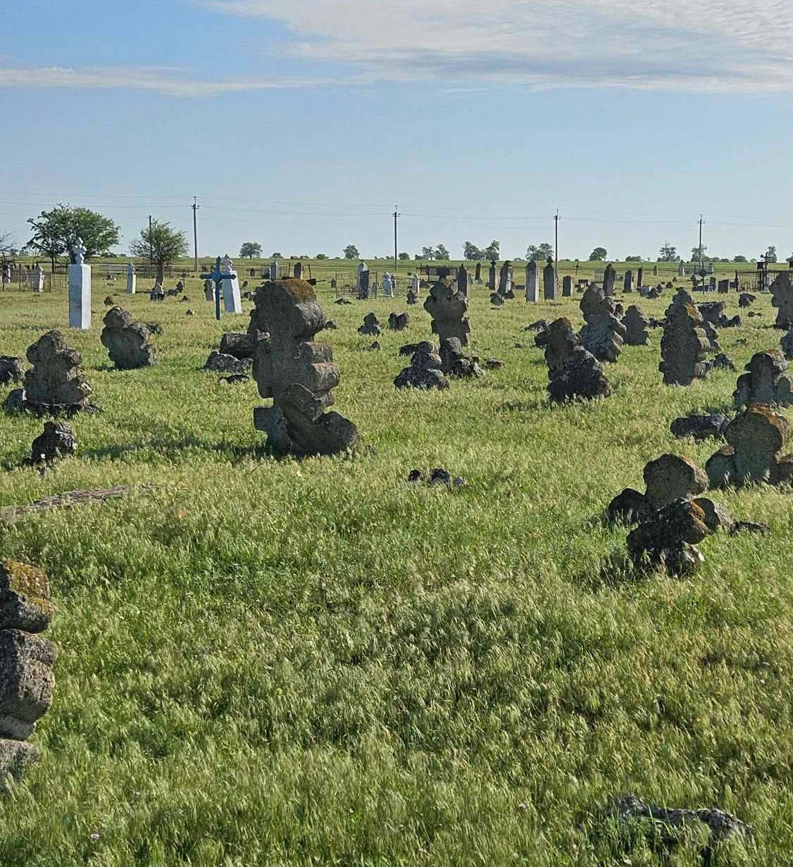 У Дельжилері знайшли унікальний цвинтар колоністів XIX століття