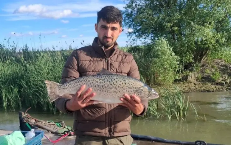 У Дунаї на Одещині впіймали рідкісного червонокнижного лосося