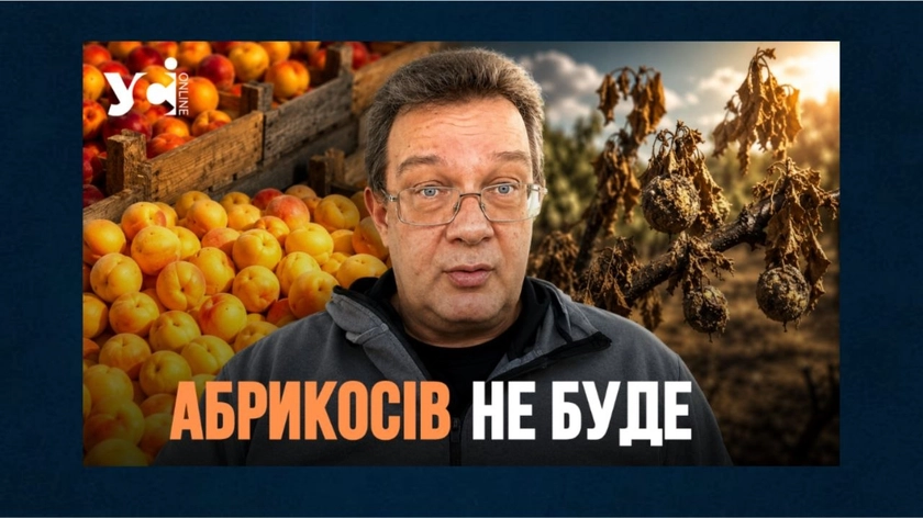 Літо дешевших цін: що буде з продуктами в Україні та на Одещині