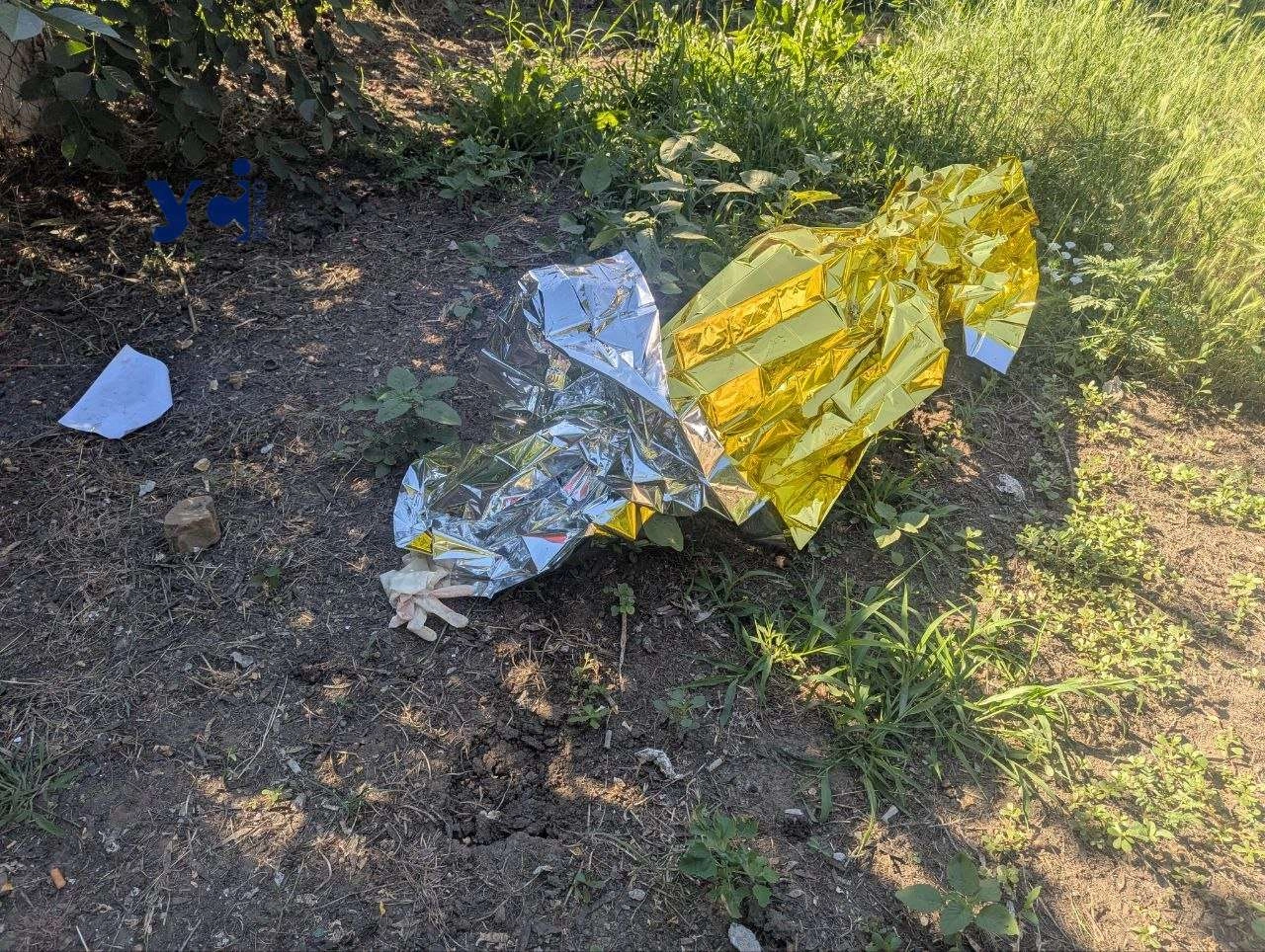 Балістичний удар по агропідприємству на Одещині: загинула людина, згоріли склади та врожай