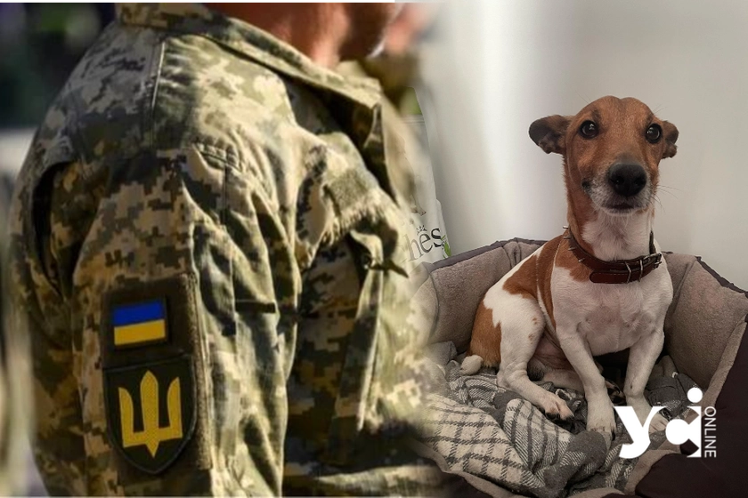 В Одесі представники ТЦК відібрали у чоловіка та покалічили собаку, —  тварину готують до операції (ОНОВЛЕНО)