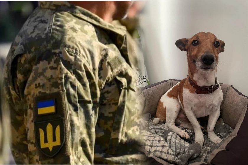 В Одесі представники ТЦК відібрали у чоловіка та покалічили собаку, —  тварину готують до операції (ОНОВЛЕНО)