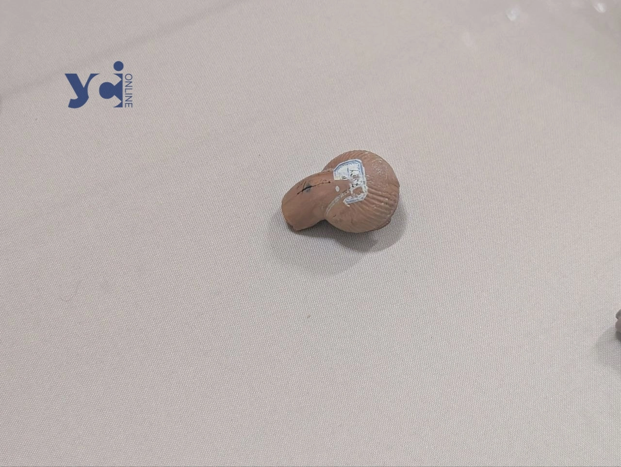 В Одесі представили 3D-колекцію артефактів середньовічного Криму