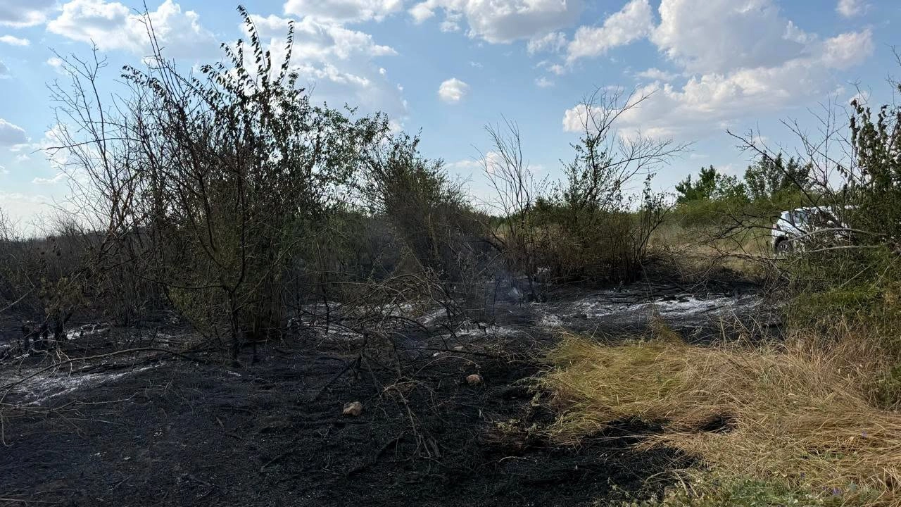 На Одещині пожежа зі сміттєзвалища перекинулася на заліснену територію та поля