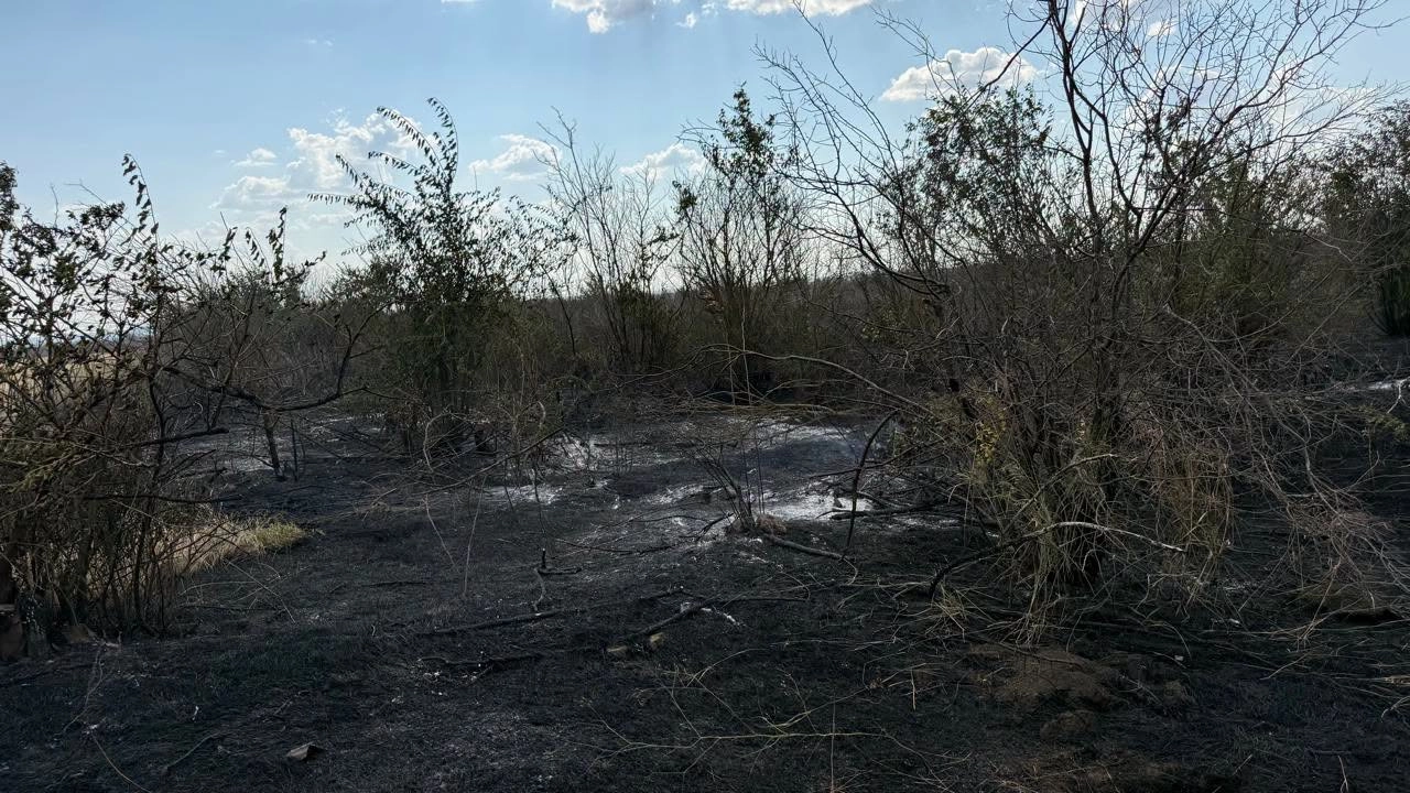 На Одещині пожежа зі сміттєзвалища перекинулася на заліснену територію та поля