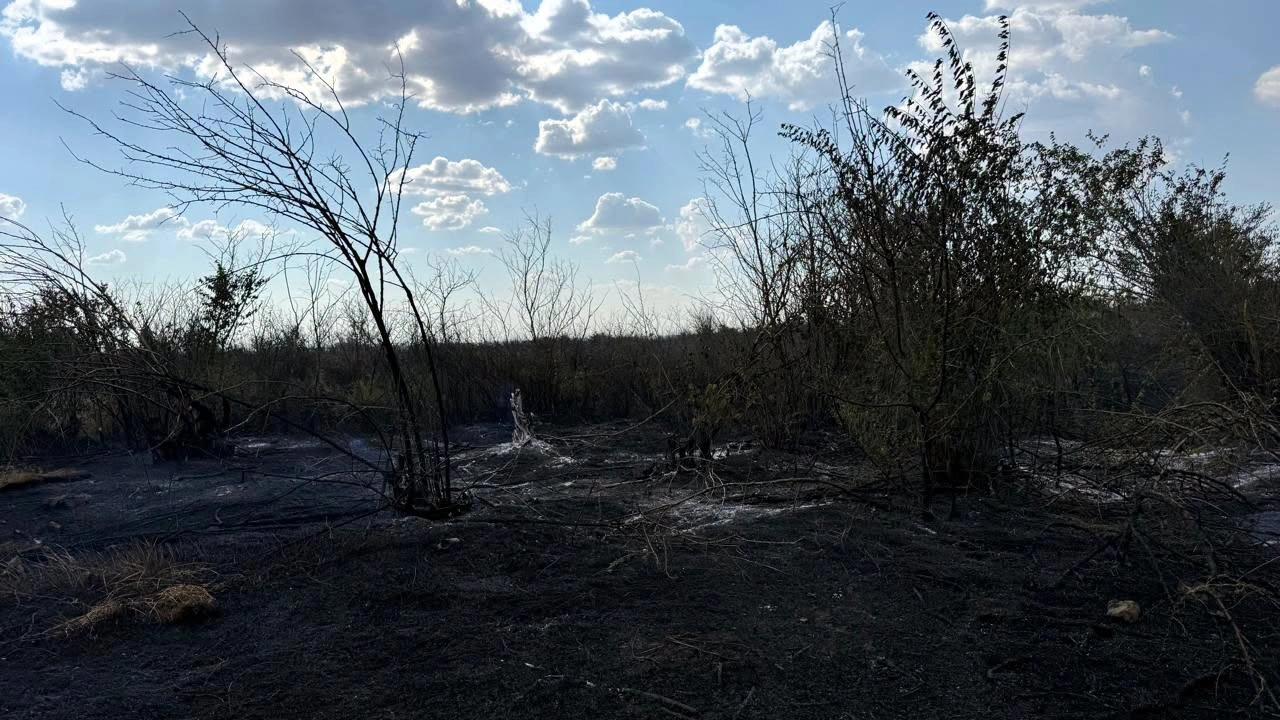 На Одещині пожежа зі сміттєзвалища перекинулася на заліснену територію та поля