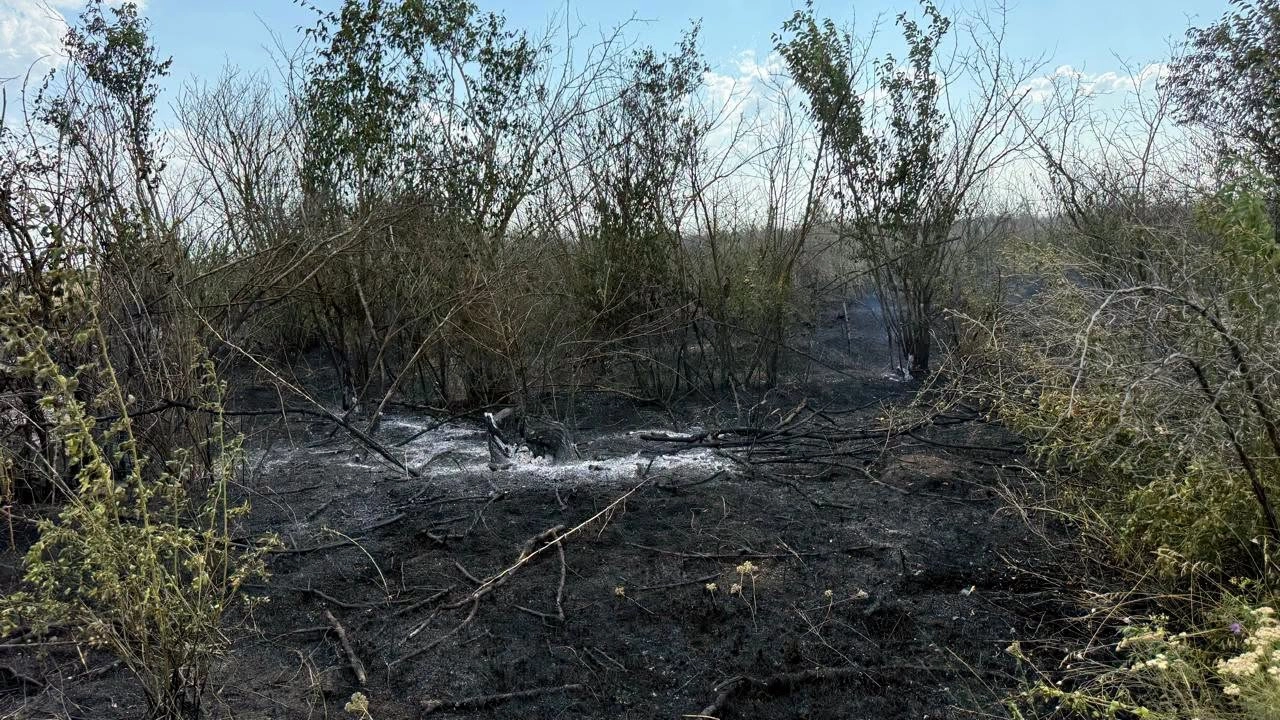 На Одещині пожежа зі сміттєзвалища перекинулася на заліснену територію та поля