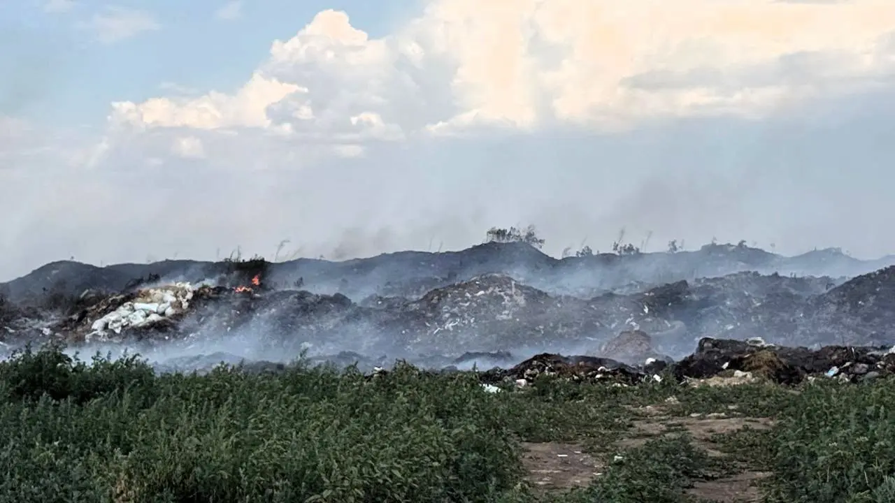На Одещині загорілося сміттєзвалище: вогонь перекинувся на заліснену територію та поля