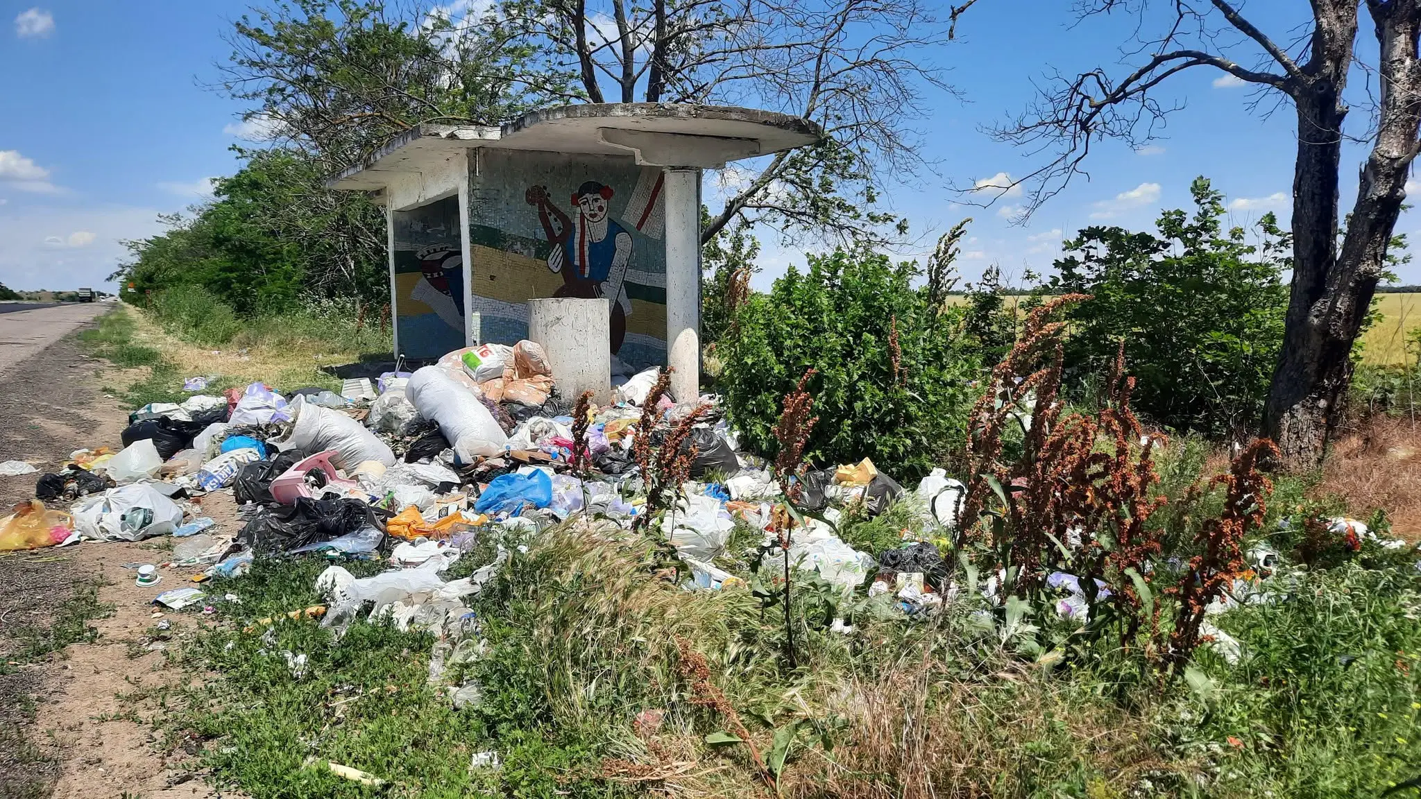 Зупинки на трасі “Одеса — Київ” перетворили на стихійні сміттєзвалища